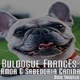 Buldogue Francês  Amor E Sabedoria Canina