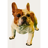 Bulldog Francês Estátua Decorativa Casa Jardim Pet Canil