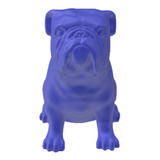 Bulldog Inglês Pet Decoração 3d Azul