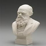 Busto Charles Darwin