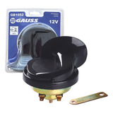 Gauss