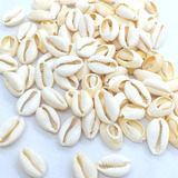Búzios Cortados Conchas Do Mar Natural 100g Aprox 75 Pçs
