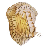 Altura