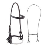 Cavalo