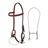 cavalo