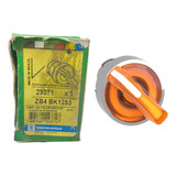 Cabeçote Para Chave Seletora Ø22mm 2 Pos Zb4bk1253 Schneider