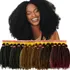 Cabelo Marley Afro Twist Pacotão Cherey Crochet Braids 400g