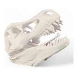Cabide T Rex Gancho Mancebo Dinossauro Suporte Criança