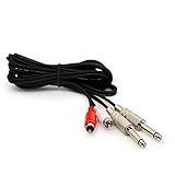 Cabo 2 P10 Mono Para 2 RCA - 3 Metros