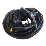 Cabo Chicote Para Central modulo Gnv Injetado Kgm 5 ger