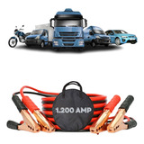 Amp