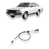 1981