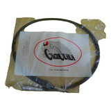Giavivi