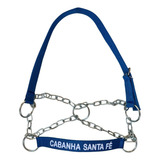 Cabresto Corrente Bordado Com Nome Para Bezerros