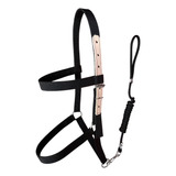 Cabresto Em Fita De Nylon Com Testeira Para Equinos Com Cabo