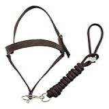 Cabresto Para Pônei Marrom De Fita Com Regulagem Inox