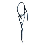 Cabresto Regulagem Para Cavalos Cores Hoje Cor Preto