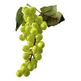 Cacho De Uvas Verde Artificial Para Decoracao E Ceia