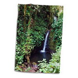 Cachoeira De Rosas 3d Reserva Florestal Nublada De Monteve