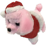 Noel