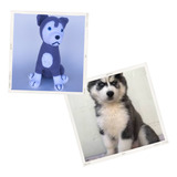 Cachorro Filhote Husk Siberiano Amigurumi Artesanal Crochê