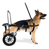 Cão