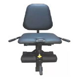 Cadeira Extensora Anilhada Musculação Profissional