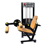 Leg Press 90° Academia Pernas + Cadeira Mesa Flexo Extensora