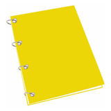Caderno Argolado Universitário 20 Matérias 400 Folhas Color
