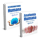 Caderno Livro De Estudos Anatomia Humana 1 E Neuroanatomia