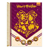 Caderno Univer Capa Dura Harry Potter 10 Matérias 200x275mm Cor Charms