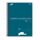 Caderno Universitário Capa Dura 96fls Quadriculado