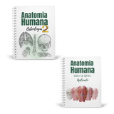 Cadernos De Estudos Anatomia Humana Aplicada E Osteologia 2