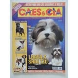 Cães E Cia 338 Lhasa X Shih Tzu Poster Do Beagle