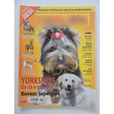 Cães E Cia 389 Yorkshire Poster Do Dogue De Bordeaux