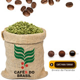 Café Verde Beneficiado Bourbon Amarelo Loretto 86 25 Pontos