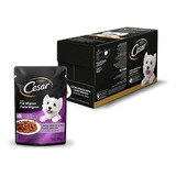 Caixa Alimento Úmido Cães Cesar Adultos Filé Mignon 85g