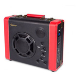 Caixa Amplificada Com Bluetooth Usb Raveo Pulse Sem Bateria