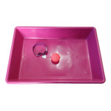 Caixa De Areia Para Gatos Pets Coleira Brinquedo 