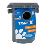 Tigre