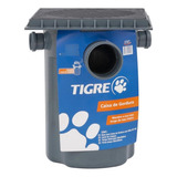 Tigre