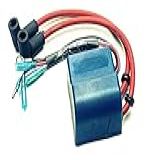 Caixa De Ignição Cdi Motor Popa Suzuki Dt 20 25 30 Hp 2cil