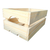 Organizador