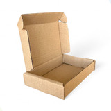 Caixa De Papelão Correio Para Mini Envio 16x11x3cm 50 Un