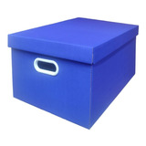 Caixa De Papelão Organizadora Arquivo Azul 10 Unidades
