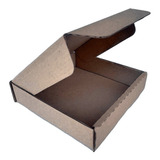 Caixa De Papelão Tipo Pac Mini 16x16x4 C 100 Unidades
