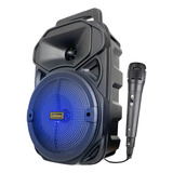 Caixa De Som Amplificada Com Microfone Karaokê Bluetooth