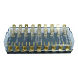 Ech03037