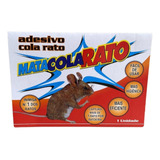 Caixa Ratoeira Adesiva Cola Pega Rato