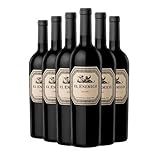 Caixa Vinho Tinto EL ENEMIGO MALBEC 6 Unidades